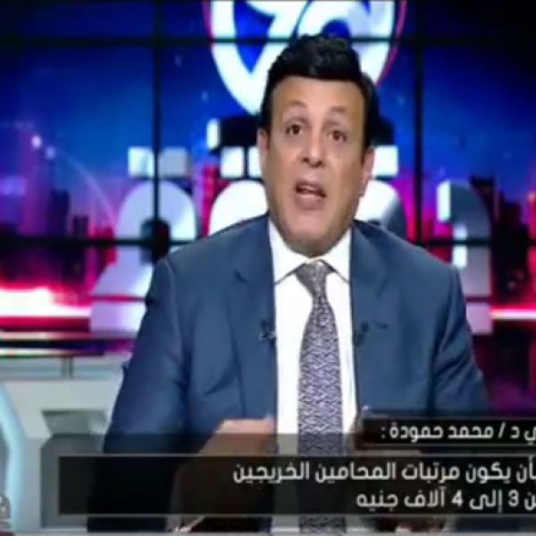 Mohamed Hamoda to Al-3asema TV Show: Muslim Brotherhood Channels incites against Egypt funded by Qatar and Turkey